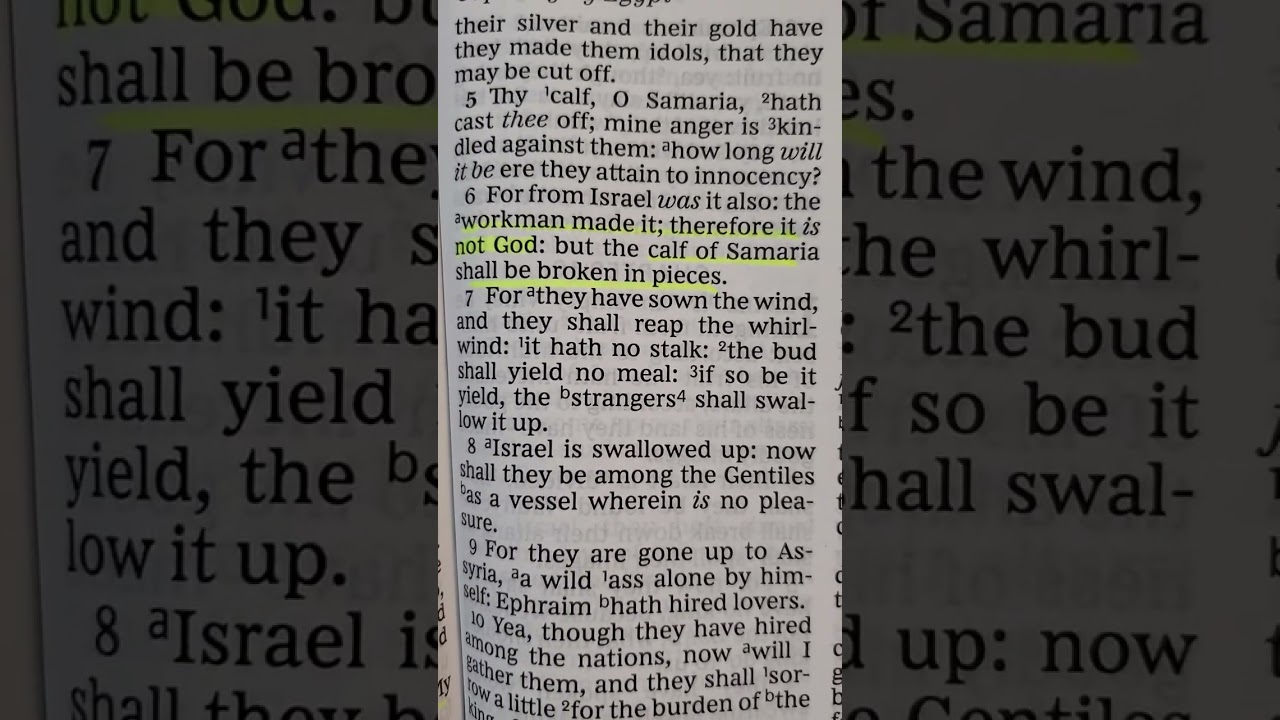 SMRF Thur 25th Dec 2025 Hosea 6, 7 & 8