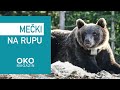 Oko magazin meki na rupu