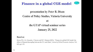 Finance in a global CGE model: the effects of financial decoupling between the U.S. and China