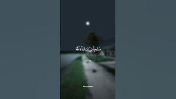 ﴿ فلما بلغ معه السعي ﴾ تلاوة عطرة للقارئ الشيخ وليد لسعيدان🧬