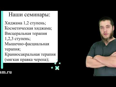 Причины геморроя