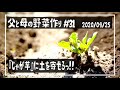 【無農薬野菜 作り方】無農薬野菜の作り方を埼玉県で家庭菜園Vlogとして配信中!! 『じゃが芋』の芽が出たら土を寄せようっ!!!