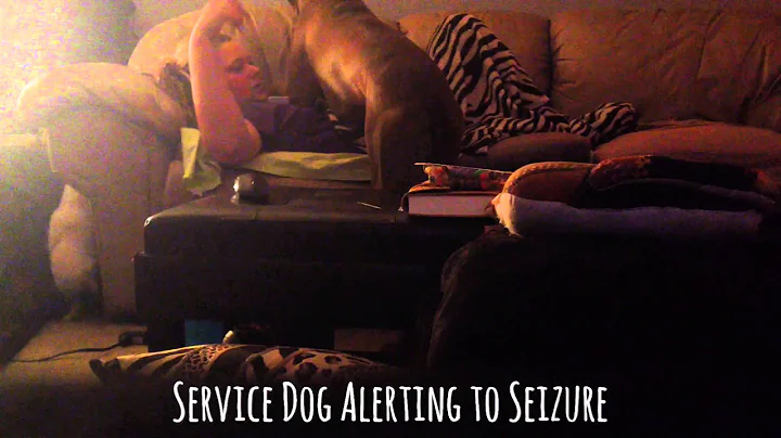 Service Dog Alerts to Seizure