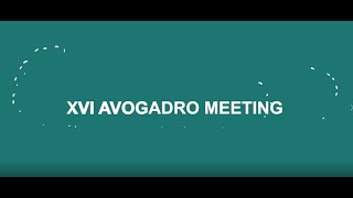 Sara Murciano - XVI Avogadro Meeting screenshot 2