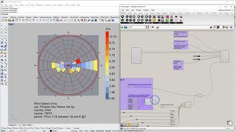 16 Ladybug Wind Rose