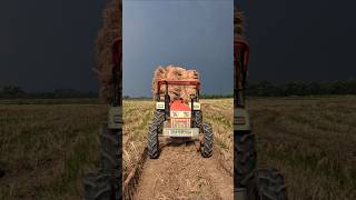 fill this time with swaraj 855 4x4 #tractor #swaraj #855 #4wd #farming #agriculture #shorts