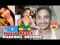 SOMALI VS Ethiopian - Eritrean HABESHA WEDDING | REACTION