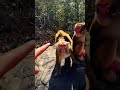These two couples have really bad tempers. Close distance with monkeys and wild animals. The con