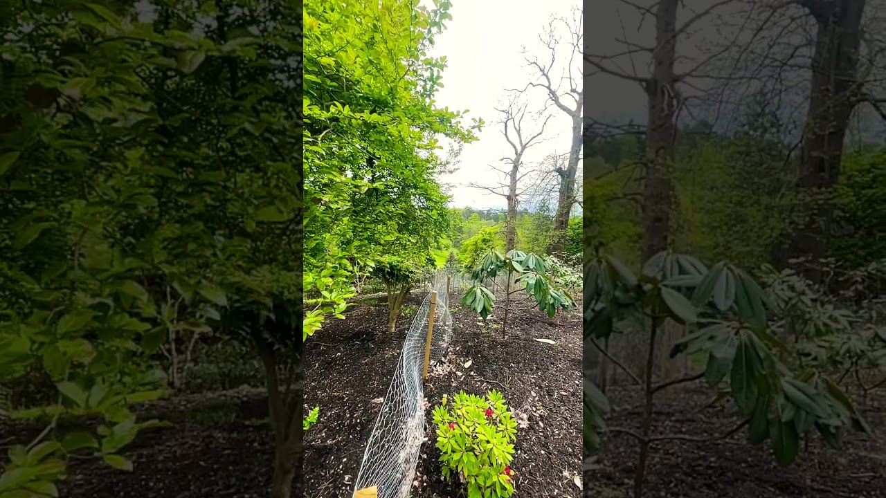 What a wonderful world 🌎 