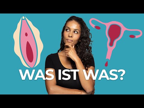 Video: Was ist das weibliche Geschlecht des Inhabers?