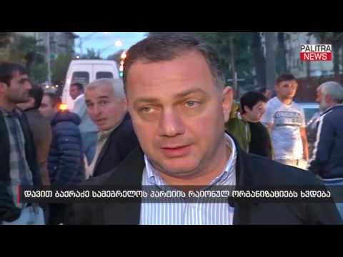 დავით ბაქრაძე სამეგრელოს პარტიის რაიონულ ორგანიზაციებს ხვდება