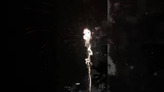 Beautiful Fireworks BGC New Year Countdown 2020