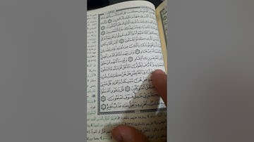 سورة الزمر من  ٣٧  الى  ٤٠