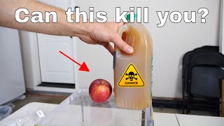 Can Drinking Apple Juice Kill You? Can Drinking Apple Juice Kill You?