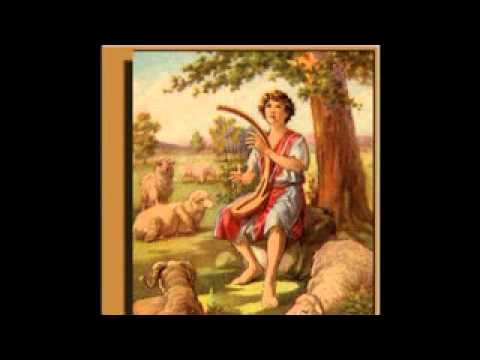 Wayra Nan-Der Einsame Hirte
