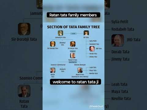 Tata Company Owner Name Ratan Tata