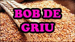 Tudor Diaconu Bob De Griu