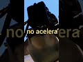 motoguadaña no acelera se apaga, en mi videos