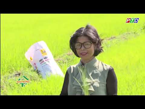 Kỹ thuật trồng