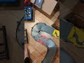 Mini Marble Games Season 2 rookies auto qualification race