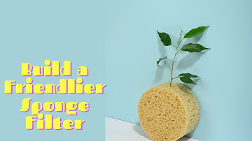 Build a Quieter Sponge Filter