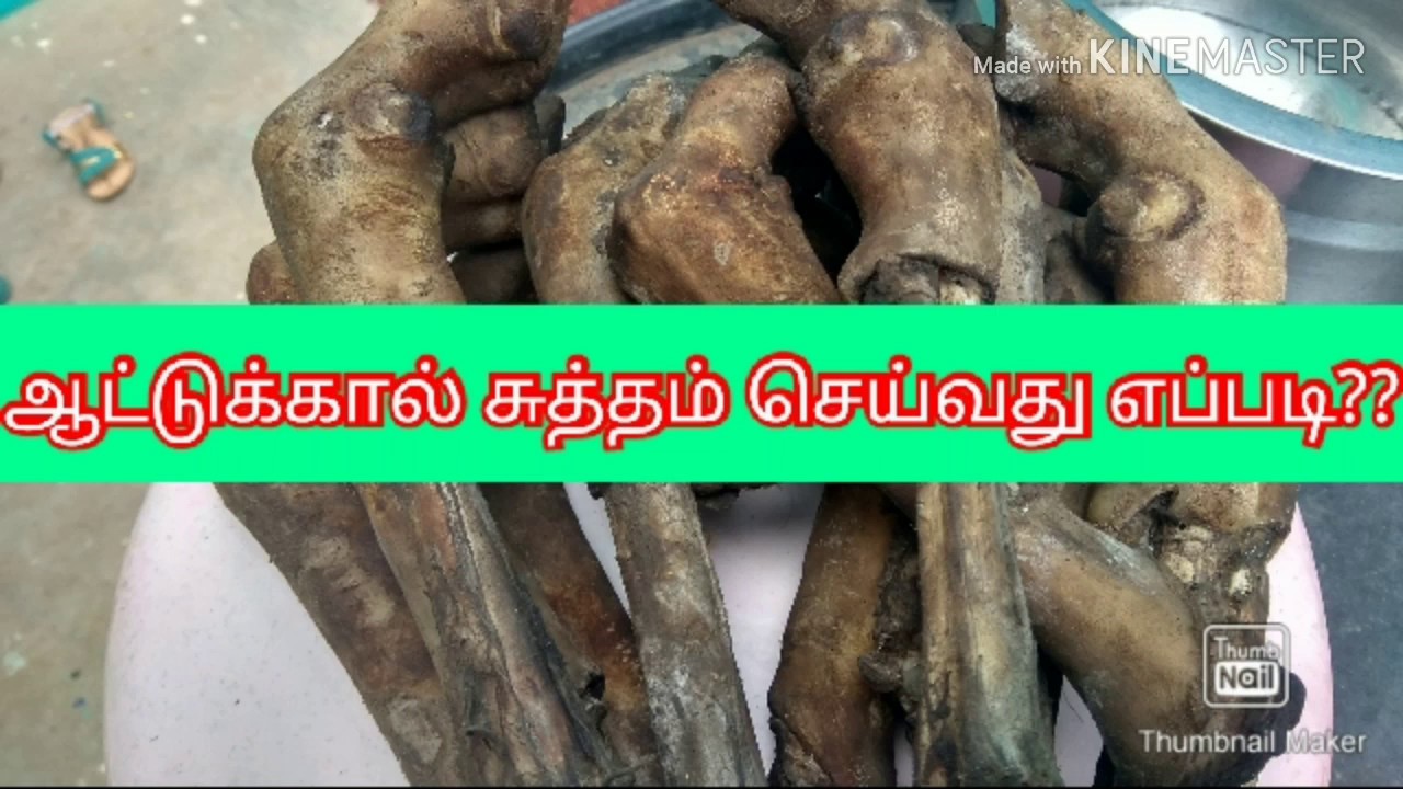 Goat Leg Cleaning YouTube