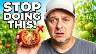 Slow Tomato Growth? You're Making This Mistake