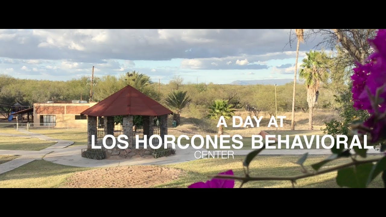 A DAY AT COMUNIDAD LOS HORCONES BEHAVIORAL CENTER YouTube