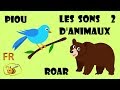 Les cris et bruits des animaux en français 2. Dessin éducatif pour bébé. Learn French for kids