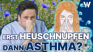 Heuschnupfen & Pollenallergie: Geht es wieder los? Meine Tipps die helfen können - Asthma Eskalation