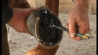 Horse hoof care, Stockholm tar screenshot 5