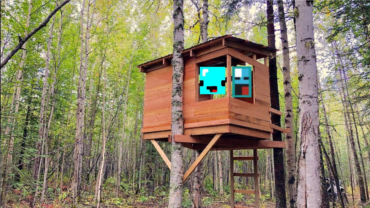 TREEHOUSE.mp4