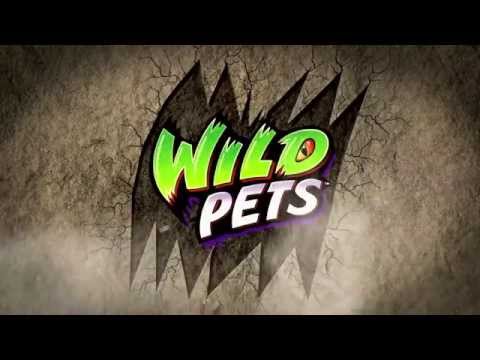 обзор новинки Wild Pets spider (2015), игрушка, живой паук