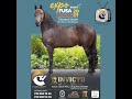 Feria equina grado A Fusagasugá Cundinamarca 2024 junio 01