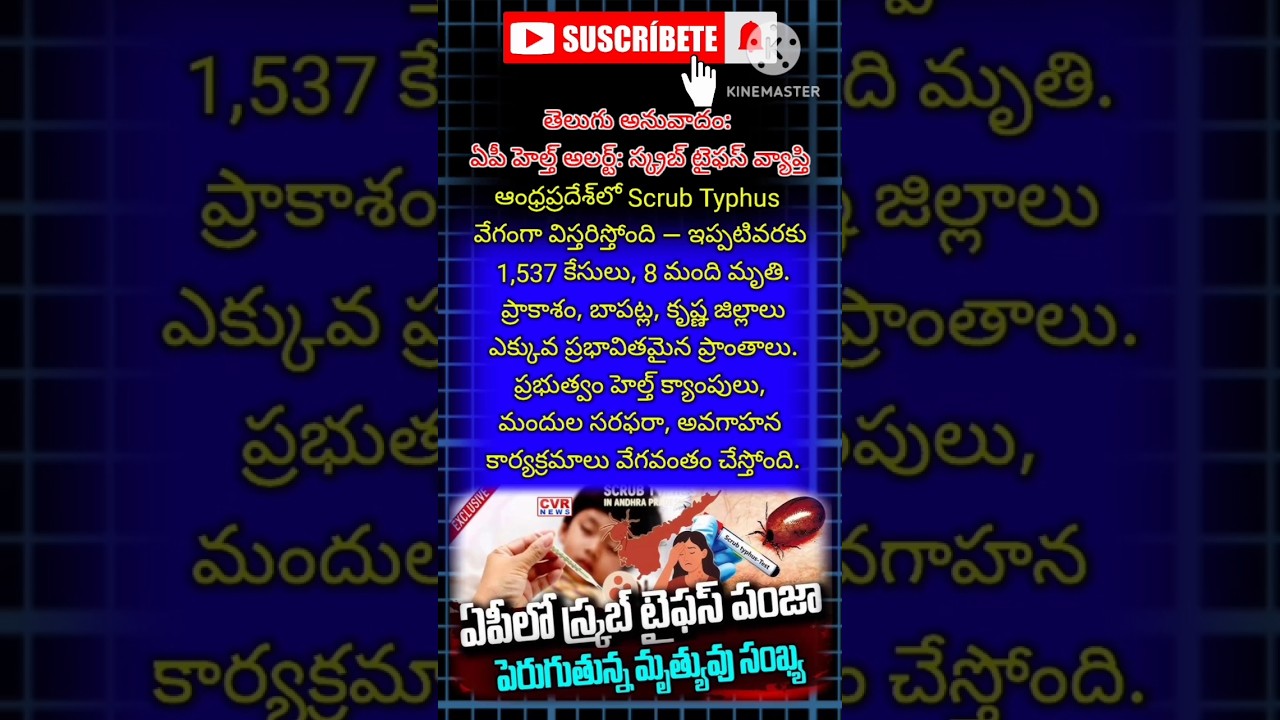 🛑 AP Health Alert: Scrub Typhus Outbreak