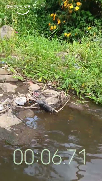 PERISTIWA ANEH SAAT MEMANCING PART3#fishing #mancing #ikan #angler #pancing #shortsviral