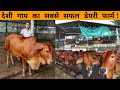20 साल से सफलता से 3 एकड़ में कर रहे है Dairy Farm | Sahiwal Dairy Farm | Dairy Farming