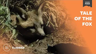 Tale of the Fox