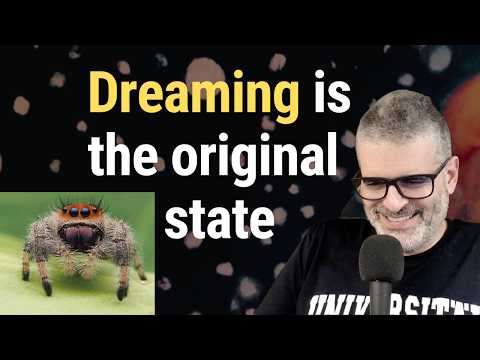 Why even spiders dream