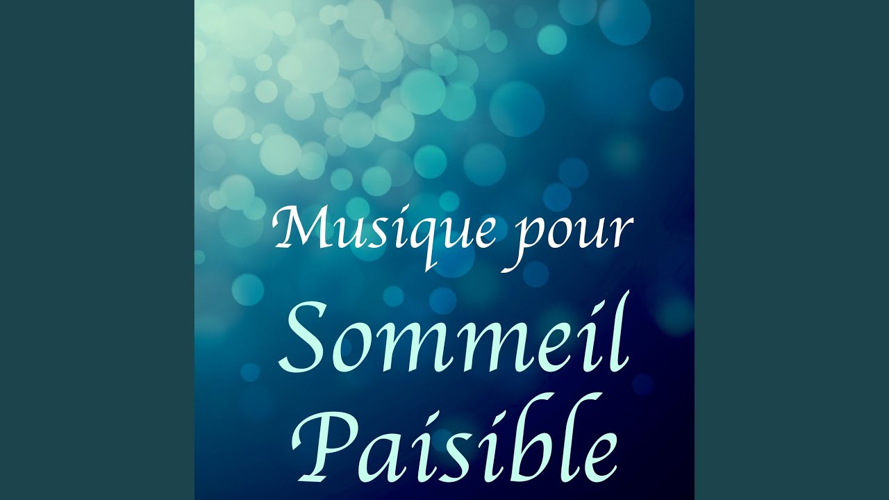Zen Bien Etre Oasis De Detente Et Relaxation Shazam