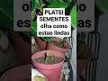 ROSAS DO DESERTO PLANTEI SEMENTES,  pretas e brancas #madilunaartesã #youtubeshorts