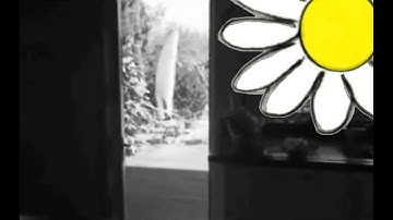 Green Day: Good Riddance (Time of Your Life) - Unofficial Music Video 2015