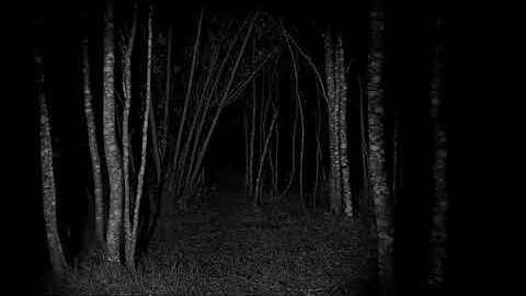 (ZZS 140) Soph Eon / Ens Imperfectissimum "Hypnothondrome" (Official Video Teaser)