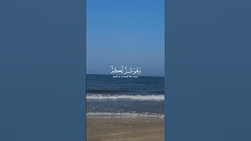 #القرآن_الكريم #بسم_الله_الرحمن_الرحيم #راحة_نفسية #سورة_البقرة #المصحف #حالات_واتس #اكسبلور