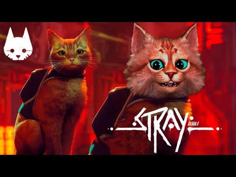 Видео: ИСТОРИЯ ЖИЗНИ КОТИКА в Stray Прохождение часть 1 - В поиске друзей Весёлый Кот