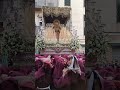 Semana Santa Málaga 2022 . María Santísima de la Salud.   Convento de las Hermanas de la Cruz.