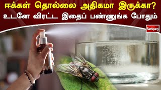 ஈககள தலல அதகம இரகக? உடன வரடட இதப பணணஙக பதம Web Special Sathiyam Tv