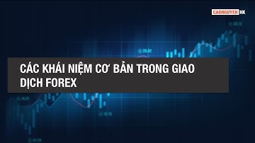 BÀI 1 - CÁC KHÁI NIỆM CƠ BẢN TRONG GIAO DỊCH FOREX