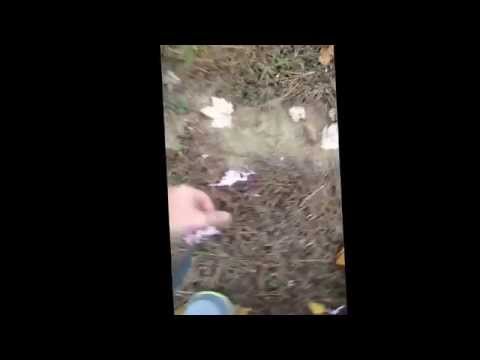 Exploding a can of silly string! XD