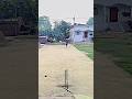 Excellent stump hiting practice 😱🥎✅ #viral #trending #shortsfeed
